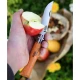 Сгъваем нож Opinel №9 Carbon, бук, 113090, OPINEL