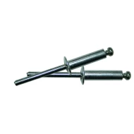 Попнитове 50 бр. 3,2х16 mm, XG53709, BOLTER