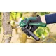 Акумулаторна ножица EasyPrune 3,6V, 1x1.3Ah + USB кабел, 06008B2102, BOSCH