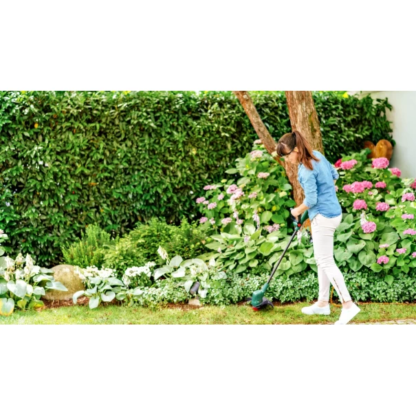 Акумулаторен тример за трева EasyGrassCut 18V-230, 1x2.0Ah + AL 1810 CV, 06008C1A03, BOSCH